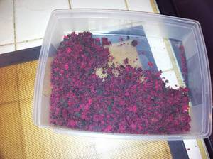 téléchargement (45).jpg image