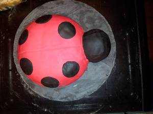 téléchargement (48).jpg image