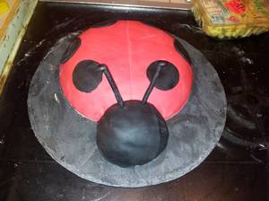 téléchargement (49).jpg image