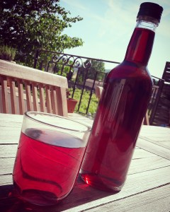 18700604_1404497716295692_6287267488203480302_o