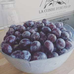 42227076_1930243467054445_5265380272806821888_o